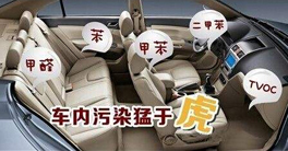 車內甲醛正常值以及車內放什么東西可以除甲醛？